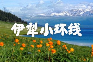 【新疆伊犁环线】5.1-5.7乌鲁木齐落地自驾，赛里木湖  恰西草原 伊犁河谷 恰普其海 巩乃斯森林公园 安集海大峡谷