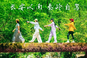 【长安以南 | 秦岭自驾】6.16-21纵贯秦岭核心区，6天5晚沿龙脉感受山水趣野！
