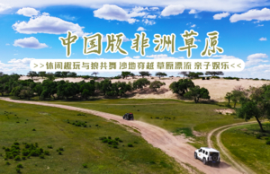 【自驾中国版非洲草原】7.9-12休闲趣玩-探寻草原狼，草原漂流、沙地穿越，蒙族体验（学蒙语、手工搭建蒙古包、制作奶制品