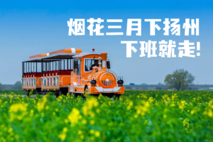 【烟花三月下扬州】3.27本周五下班出发（周末活动）邂逅江南最诗意的春天，水上森林-湖上花海-扬州三月醉浪漫