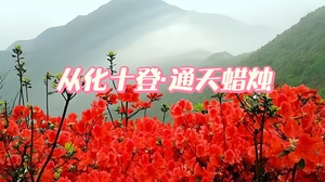 ￥78【徒步：杜鹃花开-通天蜡烛】4月8日（周三） | 从化十登，通天蜡烛，赏满山遍野杜鹃花红似火，登山赏