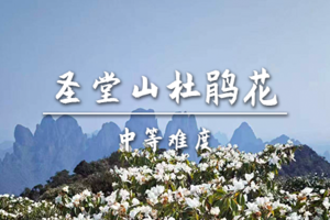 转发后特价130起【中等-圣堂山】4.7周二，来宾圣堂山，赏杜鹃花，