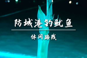 转发后特价138起【休闲-防城港钓鱿鱼】4.6周一出发防城港钓鱿鱼，漫步海岸线