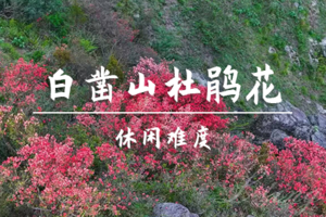转发后特价75起【中等难度-白凿山】4.8周三，白凿山徒步！杜鹃花已开！体验一脚踏两区一县的乐趣！