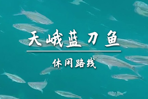 转发后特价148起【难度-入门级】4.9周四，河池天峨红水河桨板，看蓝刀风暴鱼