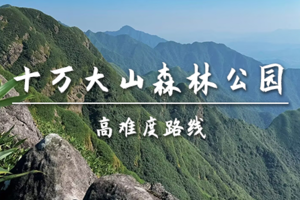 转发后特价85起【高难度-十万大山森林公园】4.6周一徒步上思十万大山森林公园，林海藏泉流古韵，天然氧吧
