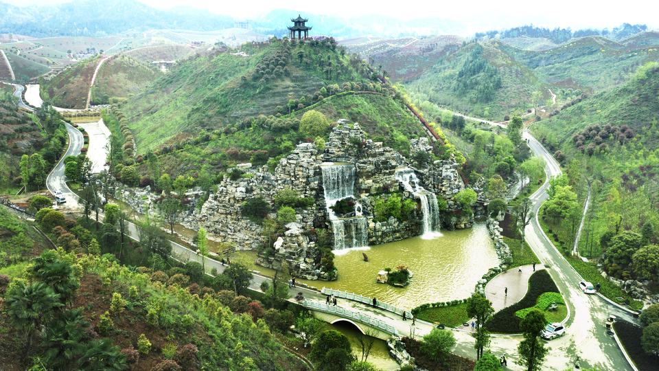 茶乡花海生态文化体验园1（戴爱玲 摄）