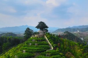 茶乡花海生态文化体验园