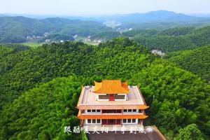 桃花江竹海景区&紫金湾欢乐王国景区