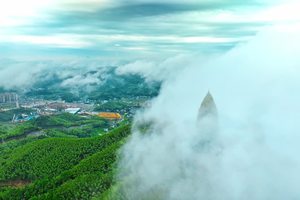 桃花江竹海景区