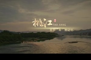 关于“年”的记忆