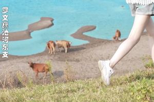 人间烟火 寻味南县