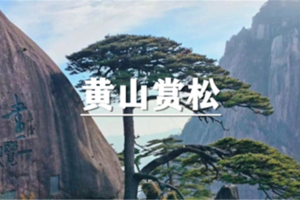  （余位9/龙+莘）10月23-25日：会员价280元起！18周岁及以下免门票！黄山徒步赏奇石劲松，朝圣道教胜地齐云山