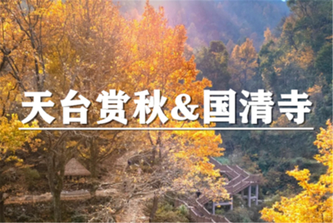 （龙+莘）11月14-15日：会员价240元起！天台赏秋，徒步南黄古道，访千年古刹国清寺