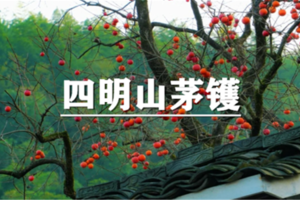 （已成行/龙+莘）10月24日：会员价80元起！柿子红了，深秋漫步四明山茅镬~打卡柿林古村