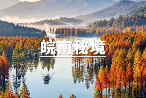 （已成行/龙+莘）11月21-22日： 会员价240元起！江浙顶流！限定秋色~皖南落羽杉秘境，船游方塘落羽红杉，轻徒千年徽村朱旺