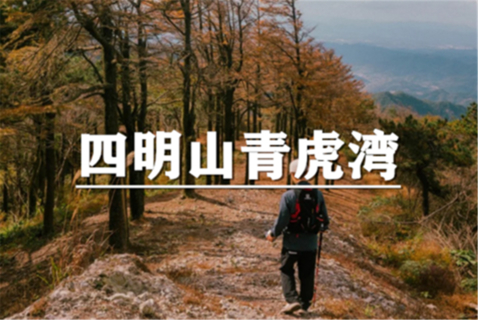 （安重青）11月1日：会员价80元起！红叶漫野，徒步四明山最高峰~青虎湾岗黄金古道，浙东秋色天花板