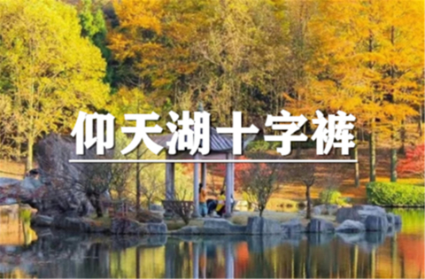 （安重青）10月25日：会员价80元起！秋意仰天湖十字裤，赏四明山景色，枫叶正红，秋色正浓