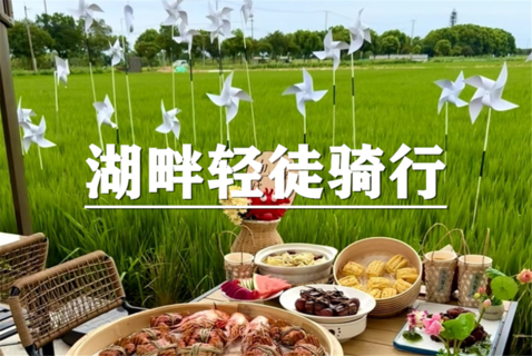 （已成行/龙+莘）10月25日：会员价80元起！秋季限定~蟹逅巴城 ，秋日品蟹，巴解园湖畔轻徒步骑行，粉黛花海一日游