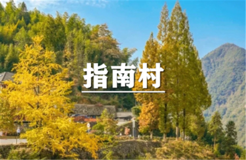（即将成行/龙+莘）10月31日：会员价80元起！网红打卡地~走进摄影天堂指南村，寻找江南最美秋色