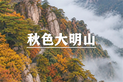 （已成行/龙+莘）11月1日：会员价80元起！免门票~秋色大明山，十里幽谷，百丈瀑布，千亩草甸，玩超级滑梯，行走峭壁悬空栈道