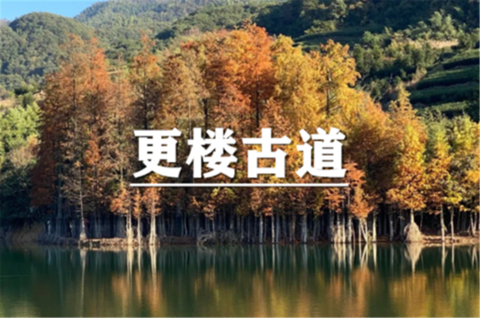 （安重青）11月1日：会员价80元起！嵊州，更楼古道徒步，闯入秋日油画世界