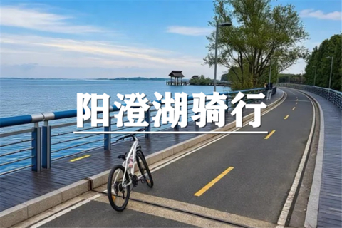 （龙+莘）10月31日：会员价160元起！阳澄湖环湖慢骑， 畅游秋日美景，嗨吃大闸蟹