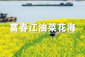 （余位13/龙+莘）4月4日：特惠价130元！多人优惠！赴一场油菜花之约， 穿行富春江畔江景油菜花海，富春江边轻徒步