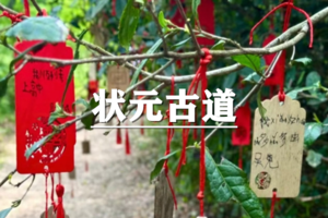 （余位19/世上松）4月4日：特价88元！状元古道出状元，重走状元路，登高祈愿，揽胜景之美