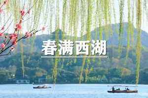 （即将成行/世上松）4月5日：特价88元！春满西湖，徜徉春色杭州精华线，休闲赏花徒步之旅