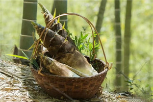 （龙+莘）4月11日：早鸟价100元起！挖笋！挖笋！徒步径山古道挖春笋，探秘千年古刹，径山寺的故事~