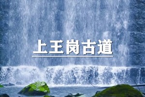 （龙+莘）5月31日：早鸟价110元起！宁波上王岗古道，野生版“九溪十八涧”