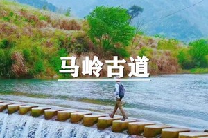 （已成行/安重青）5月23日：特惠价130元！拼单更优惠！寻梦桐庐~徒步最美森林-马岭古道