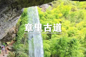 （宝山线）4月12日：早鸟价100元起！探秘安吉黄金山章里古道环线，登巅观云海