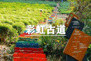 （世上松）5月30日：特价88元！逛吃千年古镇，相约无锡马山半岛，徒步彩虹古道