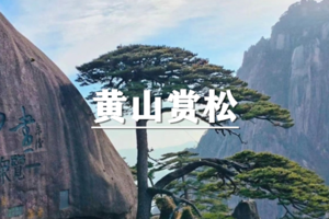 （龙+莘）6月5-7日：早鸟价360元起！送季卡！ 黄山徒步赏奇石劲松，住山顶看日出
