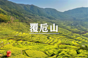 （龙+莘）4月5日：特惠价120元！多人优惠！季节限定~徒步覆卮山千亩古梯田、观金色稻浪