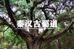 （已成行/多团期）4月3-7日：特价1580元！国内人文徒步天花板，轻徒秦汉古蜀道