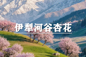 （已成行/多团期）3月31-4月7日：超多福利！季节限定，童话新疆~天山之春，伊犁河谷杏花，8日精品游