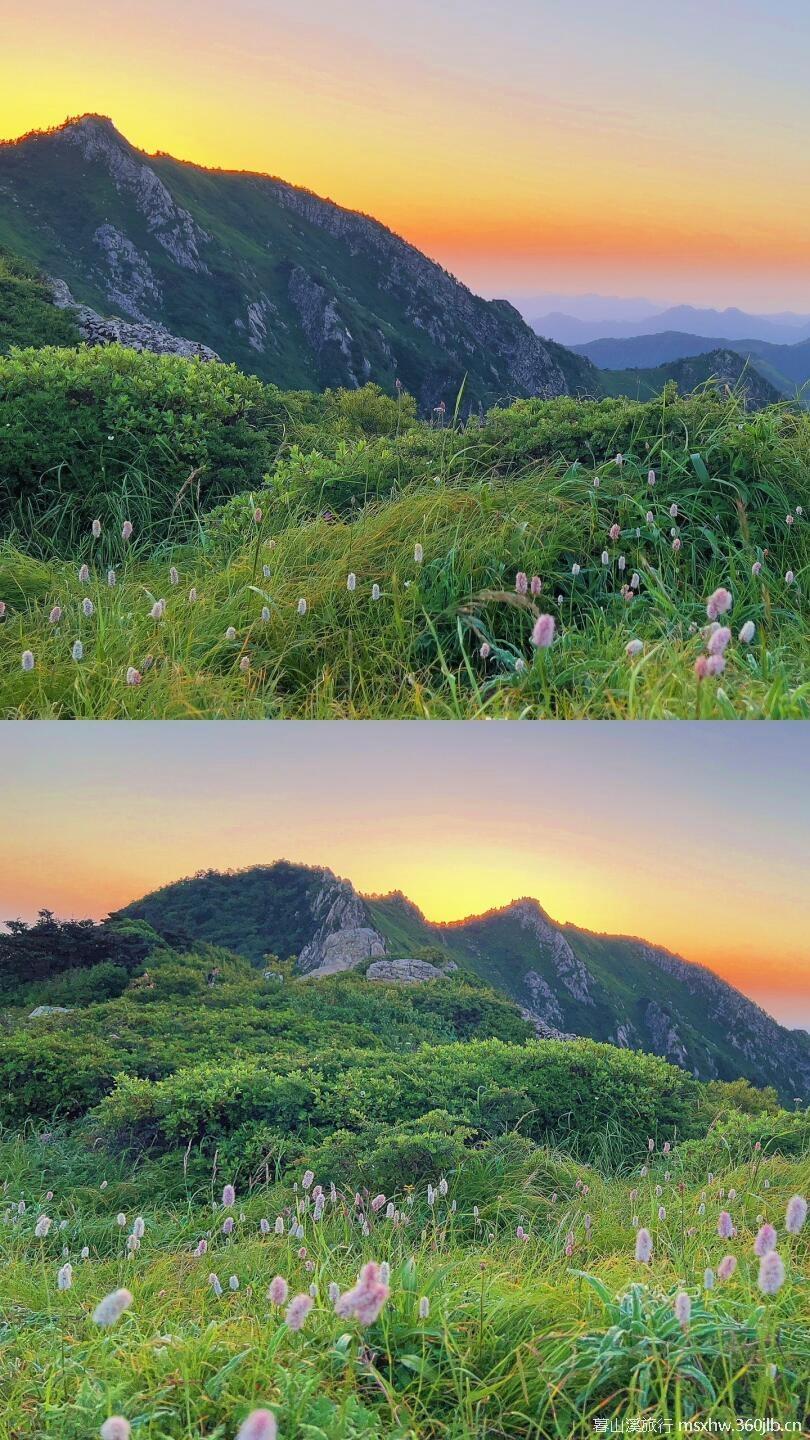 微信图片_20250807211009_238