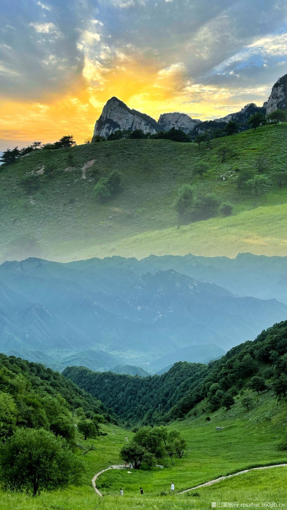 微信图片_20250807175050_186