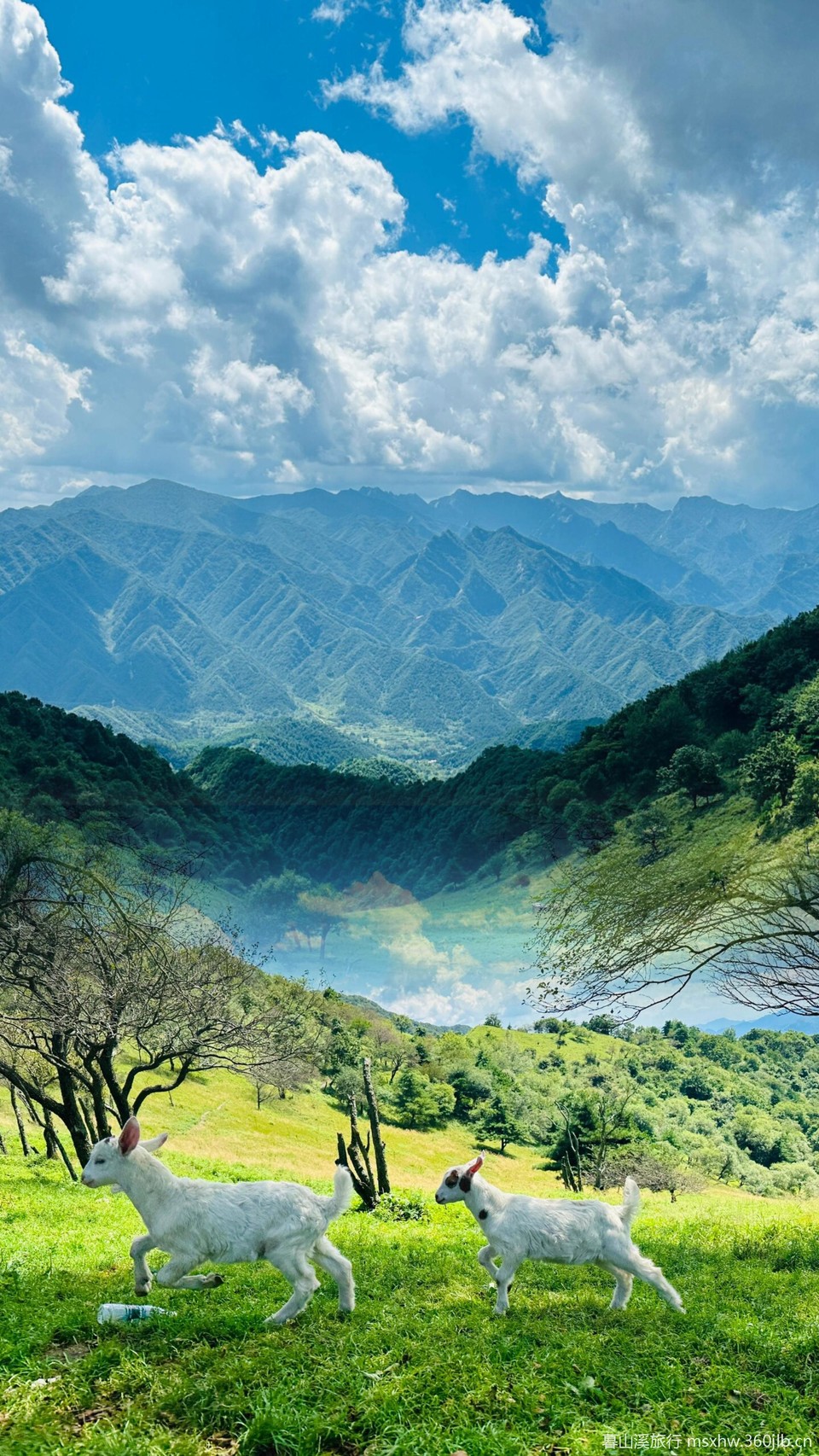 微信图片_20250807175050_187