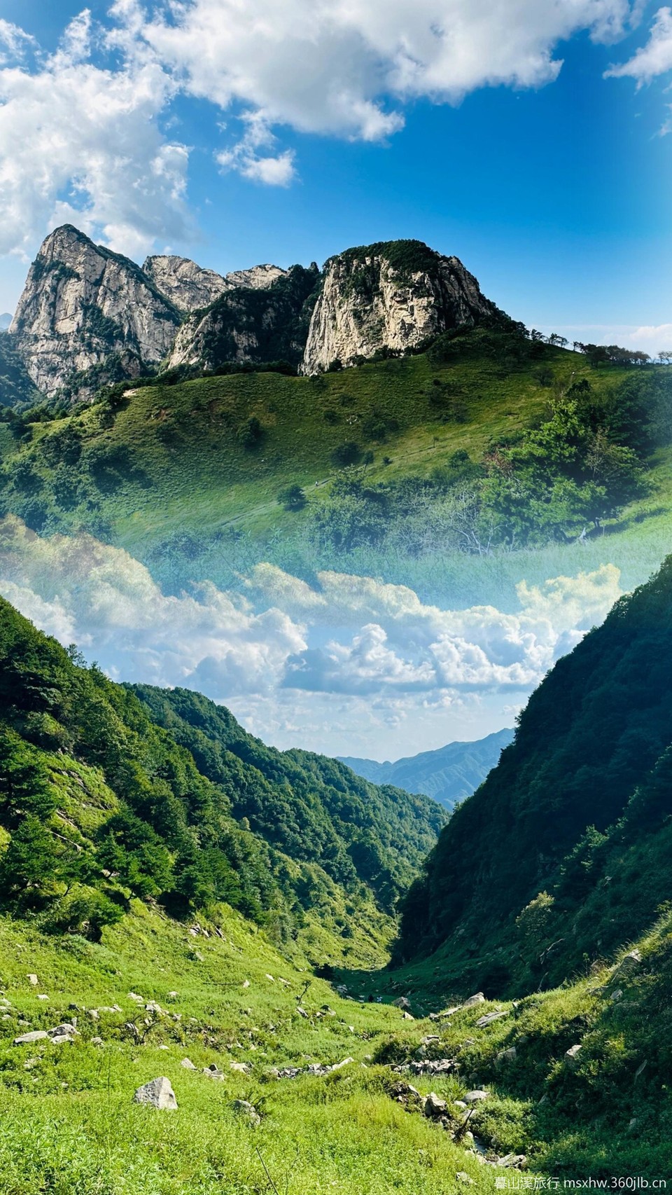 微信图片_20250807175050_188