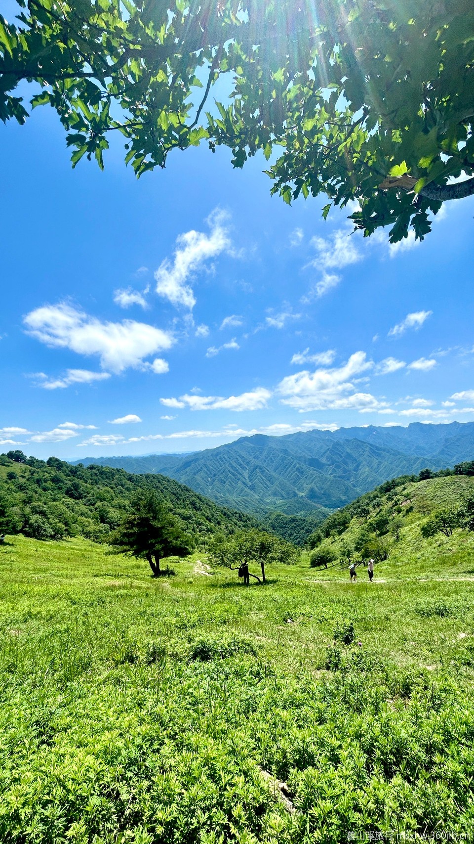 微信图片_20250807175050_191