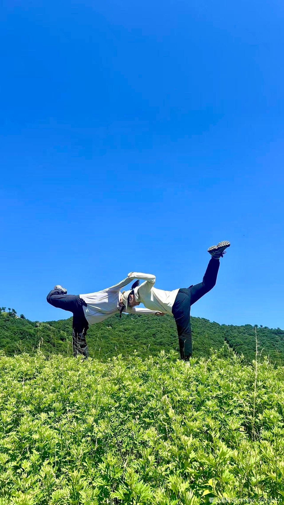 微信图片_20250807180204_199