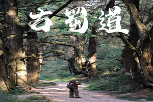 5.16-17【周末】丨古蜀道西线＋南线精华丨拦马墙寻千年驿道丨断碑梁探原始古柏长廊丨国内人文徒步天花板丨领队全程跟拍