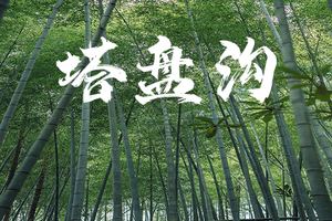 5.10【周日】丨塔盘沟亲子户外营丨徒步山野/竹林探秘/制作竹筒饭/彩绘涂鸦丨一星入门级必玩路线丨领队全程跟拍