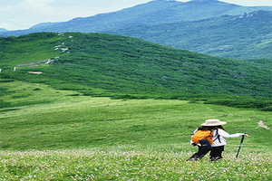 秦楚古道