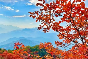 圭峰山红叶节丨二星半新手必玩路线丨秦岭赏秋必打卡之地丨山顶品美味火锅