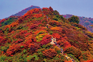 团标峪赏红叶丨三星新手进阶路线丨金秋红叶漫山遍野丨打卡十二天门品美味火锅